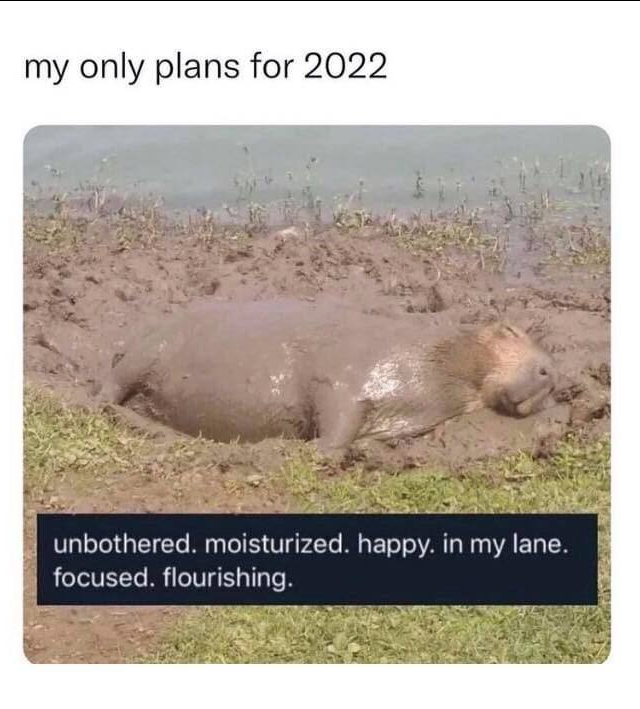 The happiest of hippos ♥