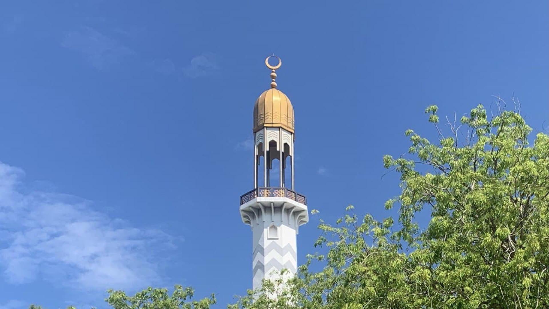 photo_2021-04-08_10-06-07