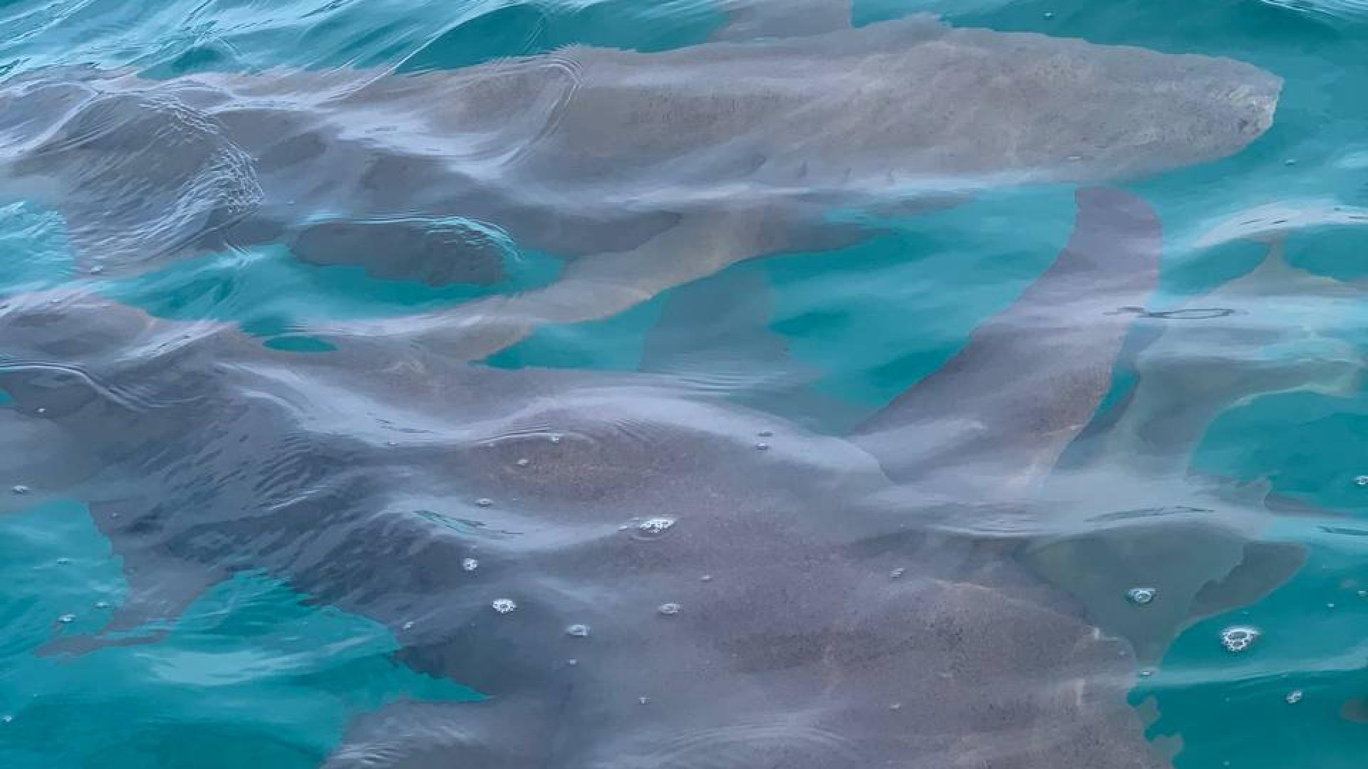 eFdkNDmYveTrtwRd53Dcm15iinzHXzZRjjwkzxx5